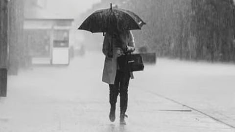Rain Alert