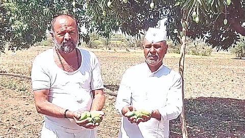 नाशिक