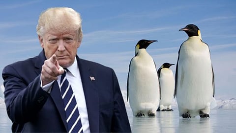 Trump Tariff on Deserted Island: