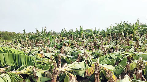Ahilyanagar