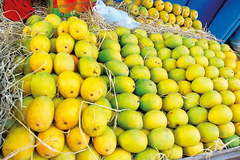 फळांचा राजा सर्वसामान्यांच्या आवाक्यात