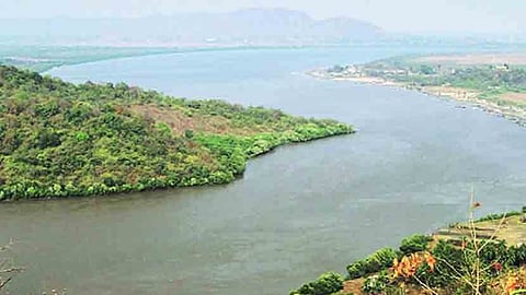 Ulhas River Conservation