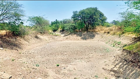 Solapur News |