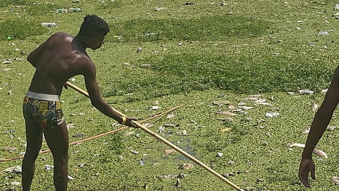 Dead fish due to heat Siddeshwar Talao