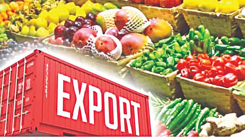 Vegetable Export Nashik