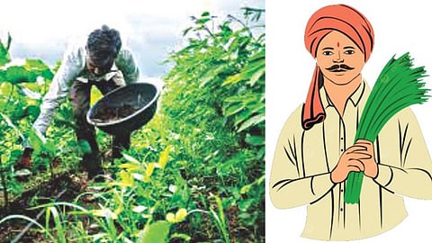 (National Mission on Natural Farming - NMNF)