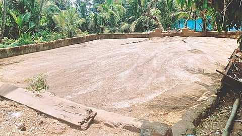 Goa News