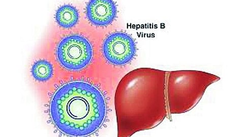 Hepatitis cases