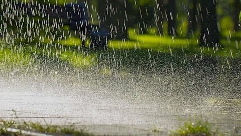 Beed Rainfall News