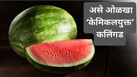 Identify Fake Watermelon