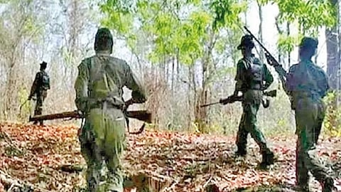 Encounter on Gadchiroli-Chhattisgarh border; Naxal camp destroyed