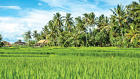 Agri Tourism