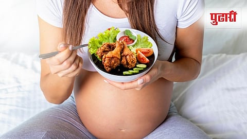 Pregnancy And Chicken