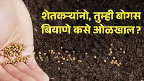 How to identify fake seeds
