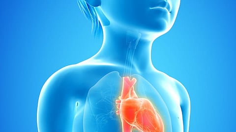 The increasing incidence of heart disease in children has become alarming.