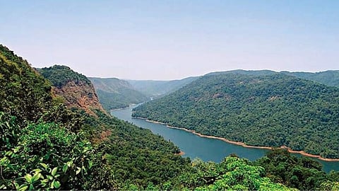 Importance Of Biodiversity