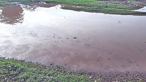 Nashik