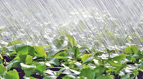 farmers-to-get-relief
