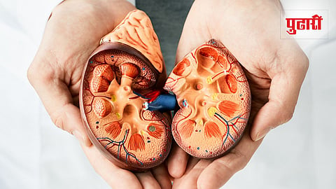 Early Signs Of Kidney Damage