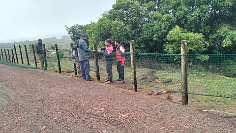 Kas Plateau tangus net installation