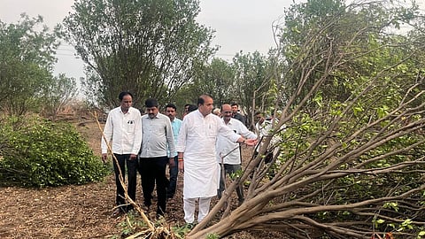 Nagpur News