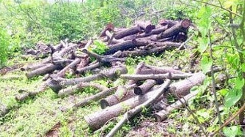 Housing Project Controversy Goa