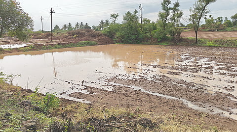 Sangli rain