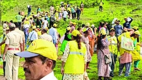 Palghar News