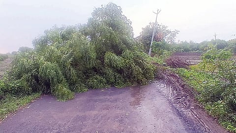 Jamkhed Rain