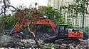Palghar News
