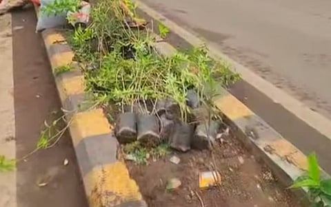 Solapur News |