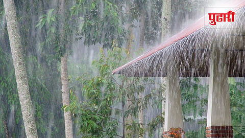 Konkan Rain Update