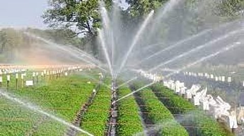Irrigation Development 2025