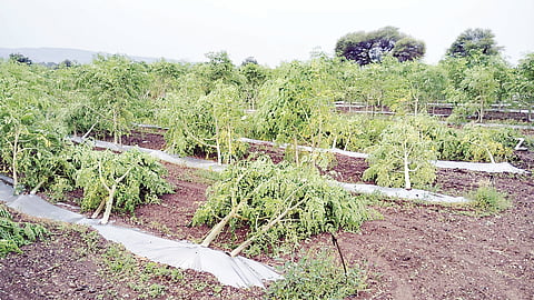 Ahilyanagar