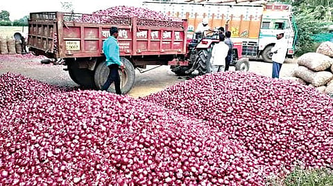 Onion Farmers' dreams crushed