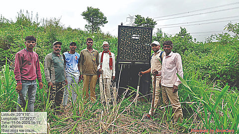दिंडोरी (नाशिक)