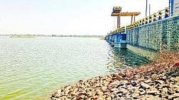 Rena Dam