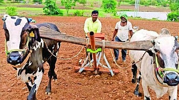Latur News
