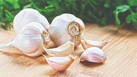 health-benefits-of-garlic