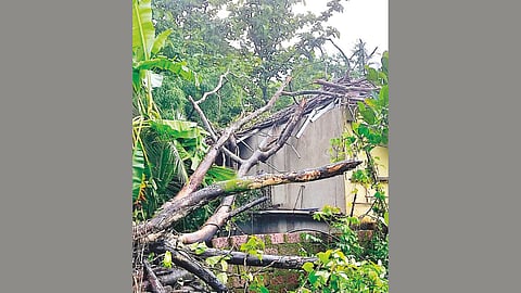 Vaibhavwadi News