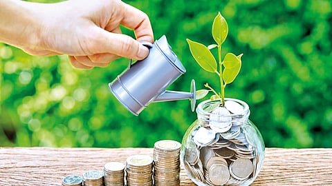 increasing-interest-in-equity-mutual-fund-investments