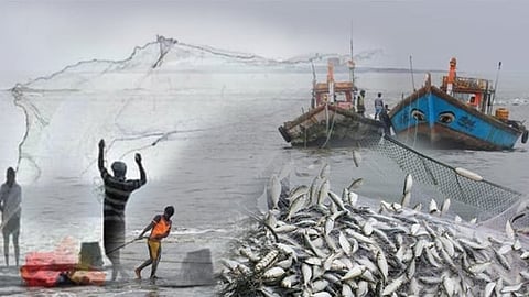 Sindhudurg Fishermen Subsidy News