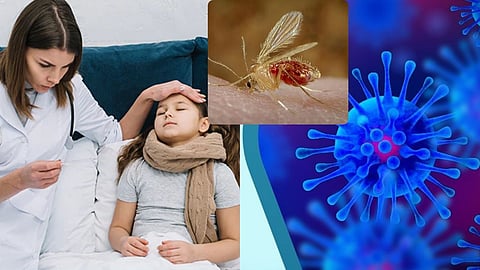 Chandipura virus