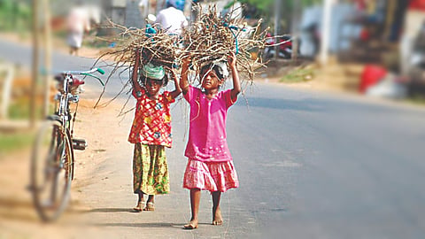 Nashik Education News