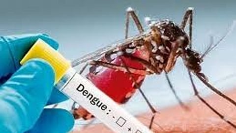Dengue and malaria Cases
