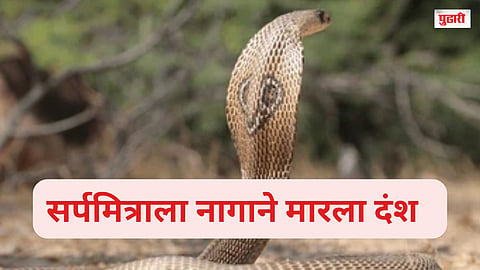 Snake Friend Injured