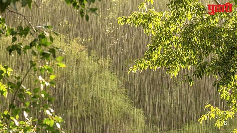 Solapur Rain: बार्शी तालुक्यात अवकाळीचा शेतकऱ्यांना फटका