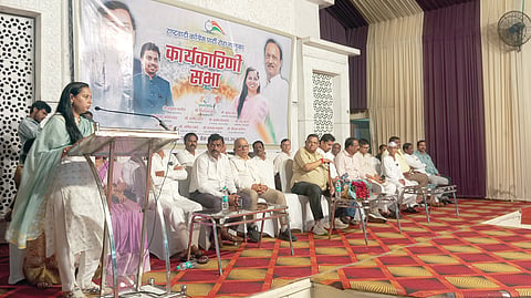 Raigad Guardian Minister controversy