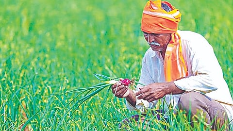 Farmer News