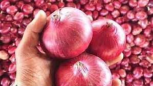 Onion Export